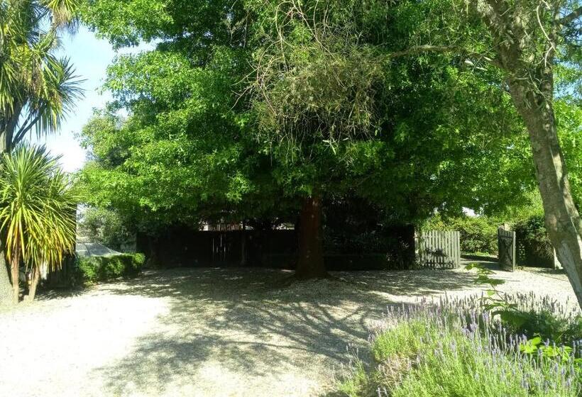 ベッドアンドブレックファースト Irongate Retreat