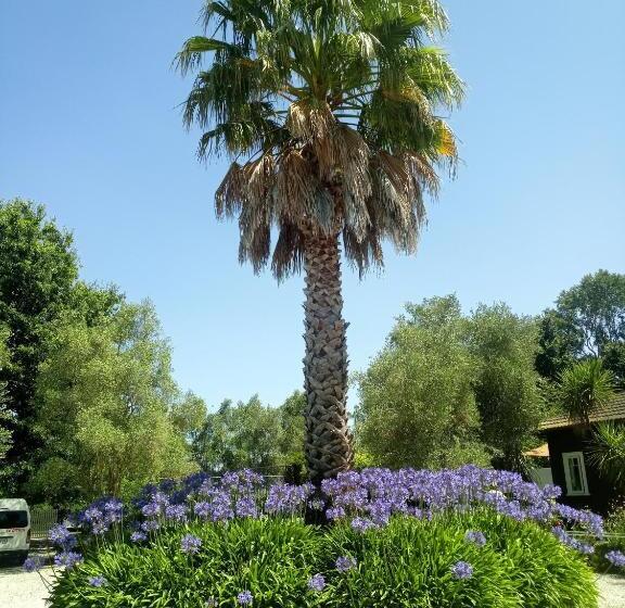 ベッドアンドブレックファースト Irongate Retreat