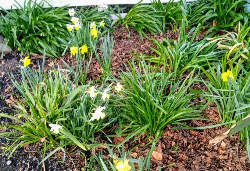 ベッドアンドブレックファースト Irongate Retreat