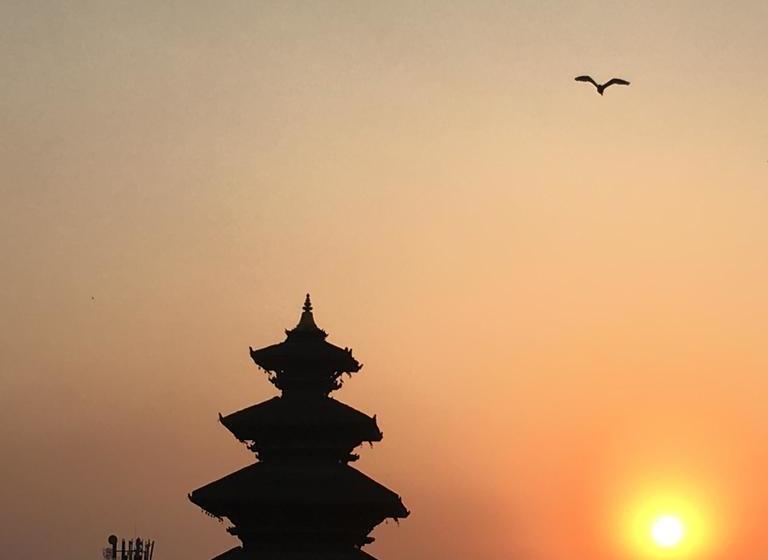 هتل De  Courtyard