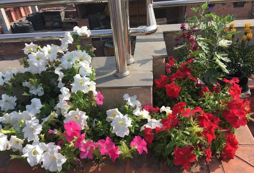 هتل De  Courtyard