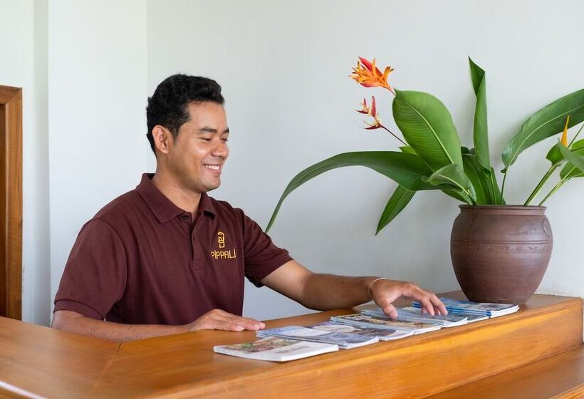 فندق Pippali Boutique