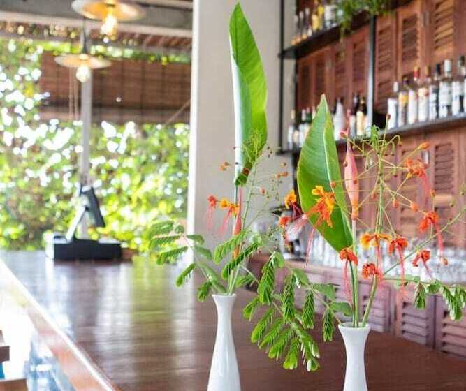 فندق Pippali Boutique