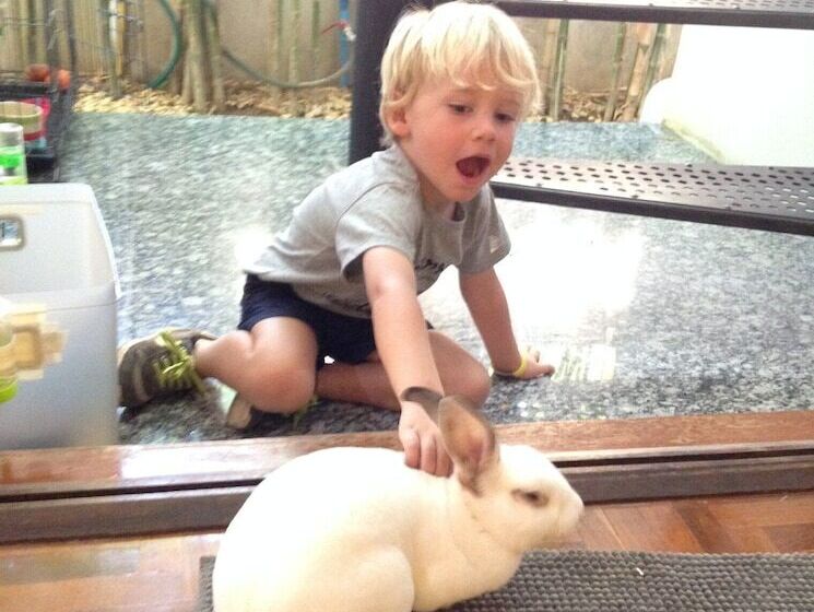 酒店 Papick Lodge   Hostel