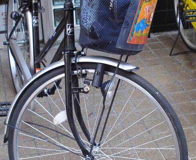 酒店 Papick Lodge   Hostel