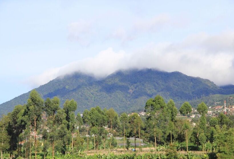 בית מלון כפרי Villa Lemon