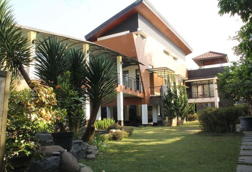 בית מלון כפרי Villa Lemon