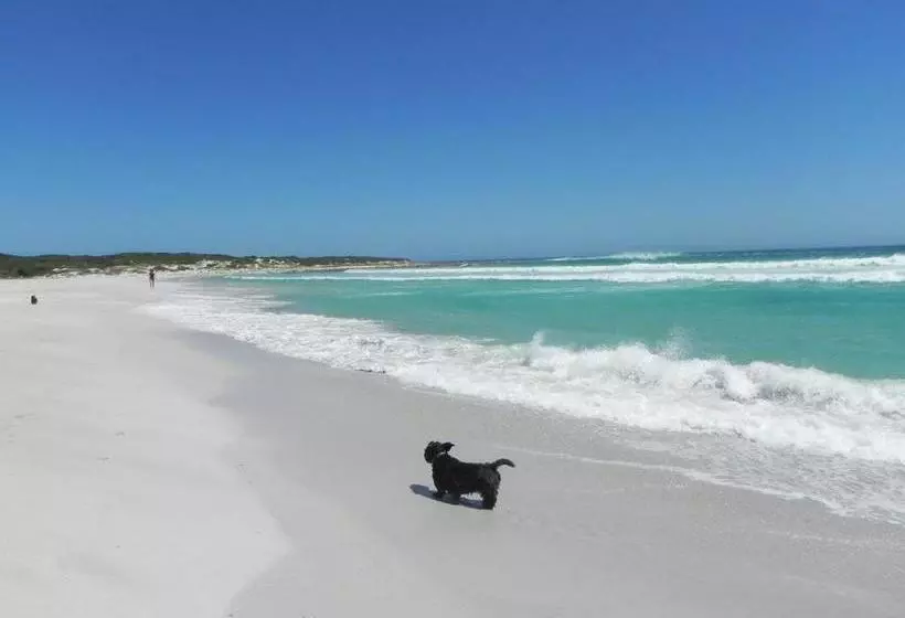 Atlantic Dream Beachfront Villa