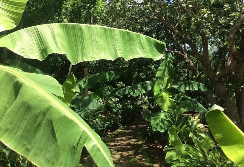 Dreamsea Surf Resort Nicaragua