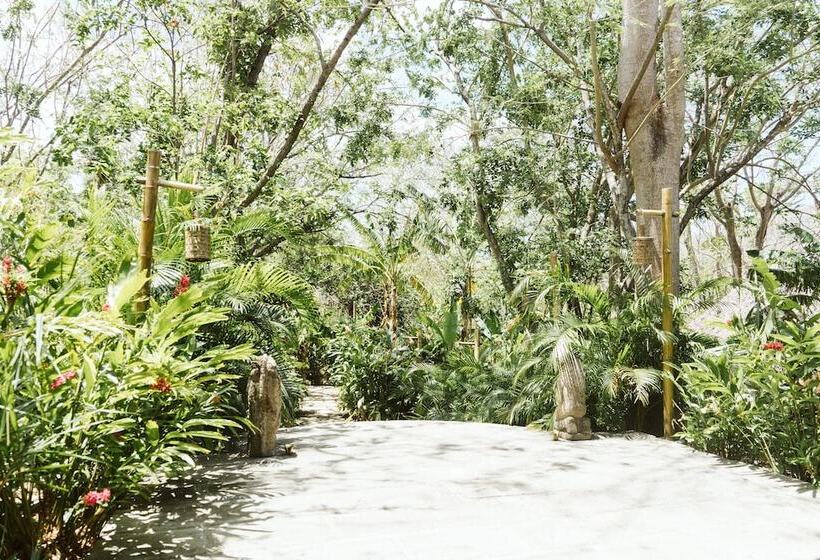 Dreamsea Surf Resort Nicaragua