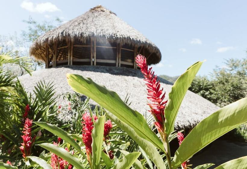 Dreamsea Surf Resort Nicaragua