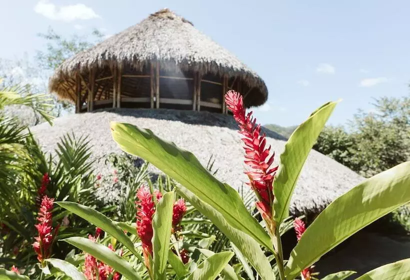 Dreamsea Surf Resort Nicaragua