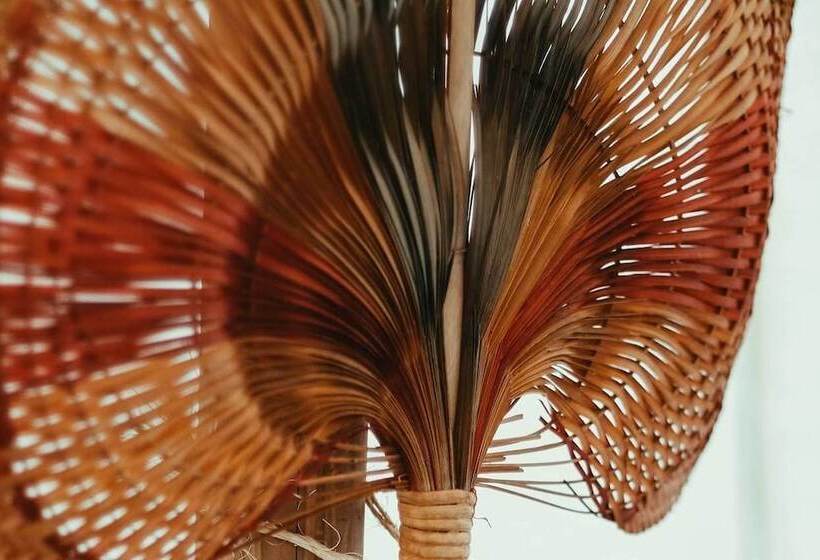 Dreamsea Surf Resort Nicaragua