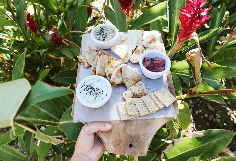 Dreamsea Surf Resort Nicaragua