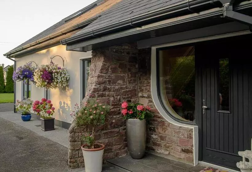 Ashville House B&b Tralee
