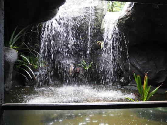 تختخواب و صبحانه Melvila