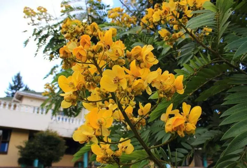 Unique Bed And Breakfast