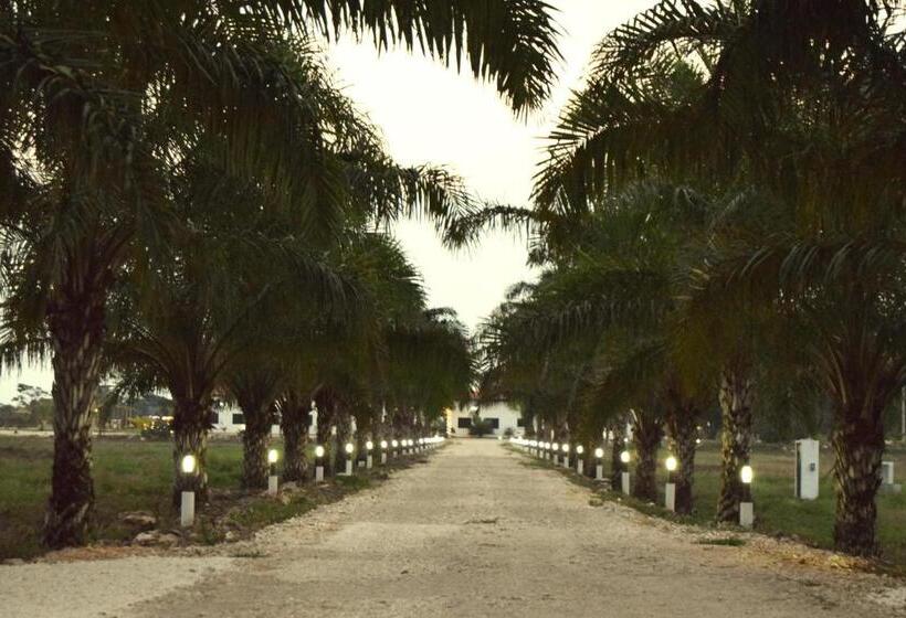 فندق Real Primaveras Campestre