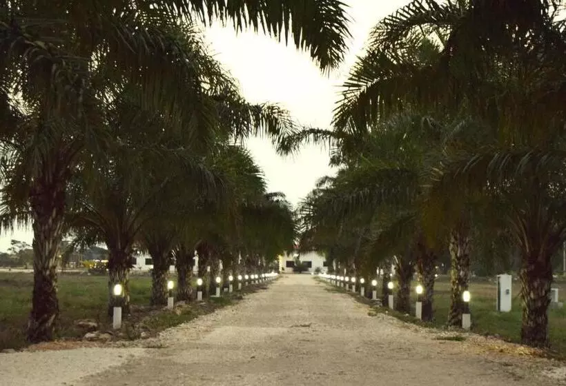 Hotelli Real Primaveras Campestre