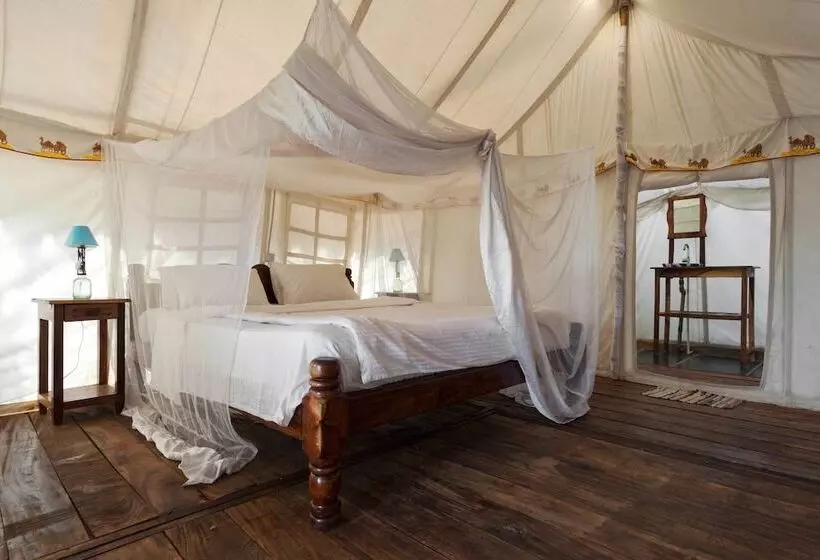 Lomakeskus Cassoi By Ciarans