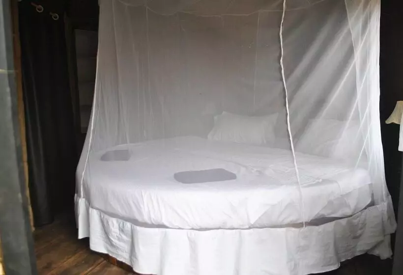 Lomakeskus Cassoi By Ciarans