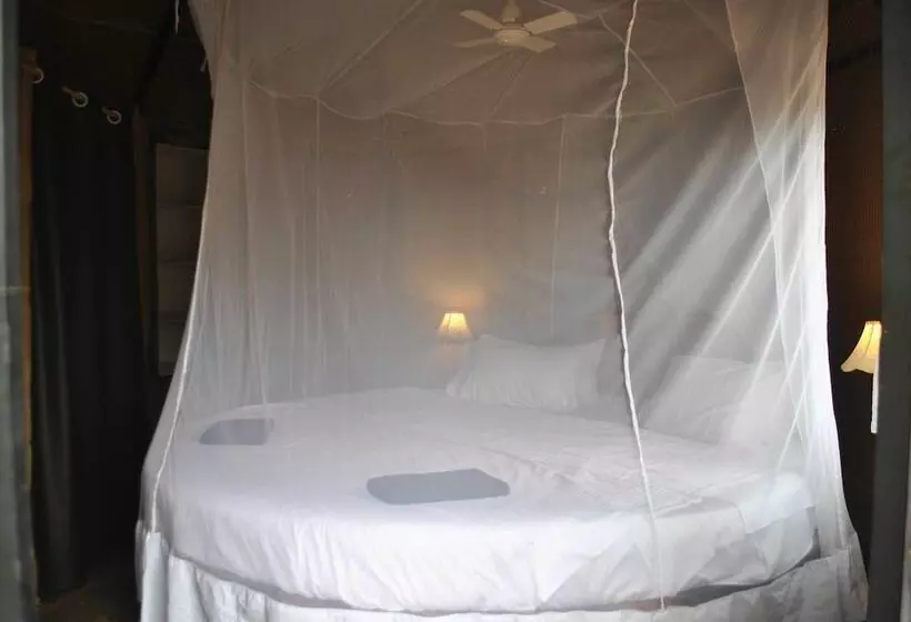 Lomakeskus Cassoi By Ciarans