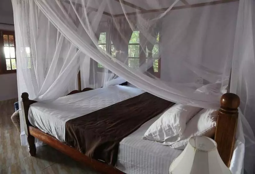 Lomakeskus Cassoi By Ciarans