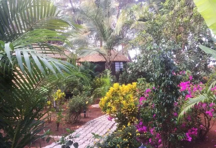 Lomakeskus Cassoi By Ciarans