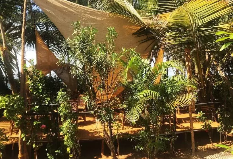 Lomakeskus Cassoi By Ciarans