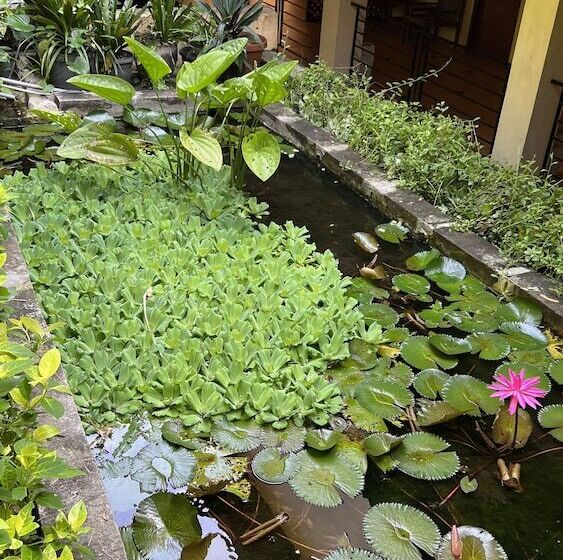 צימר Centro Bajo Hotel & Resto