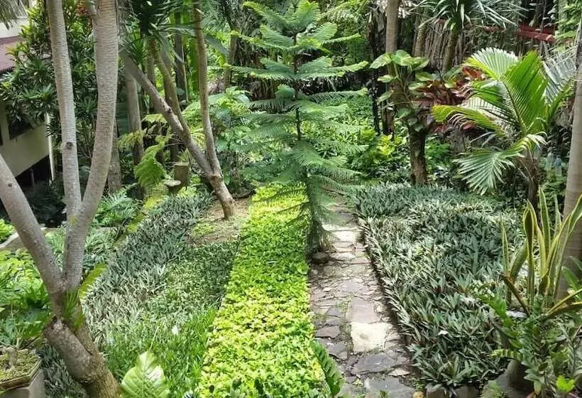 Aamiaismajoitus (B&B) Centro Bajo Hotel & Resto