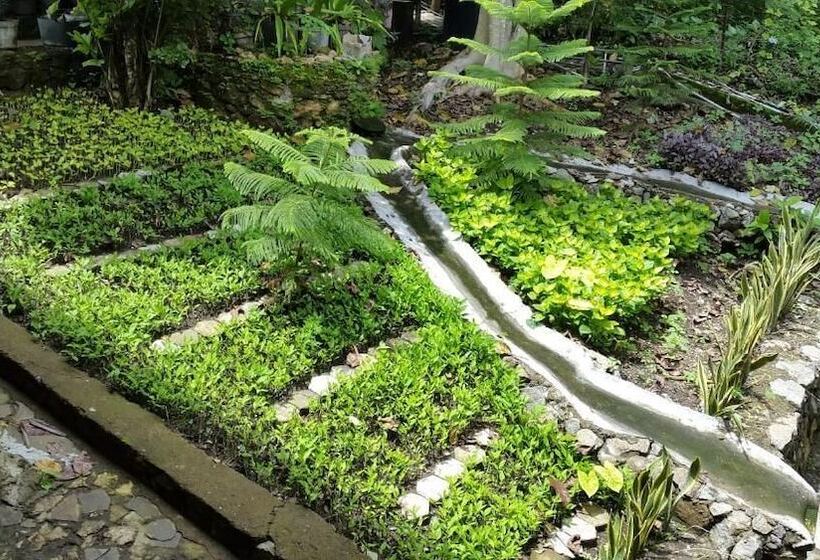 צימר Centro Bajo Hotel & Resto