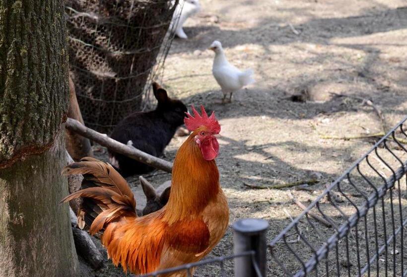 住宿加早餐  Guest House Aan De Hollandse Ijssel