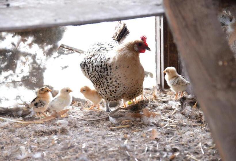 住宿加早餐  Guest House Aan De Hollandse Ijssel