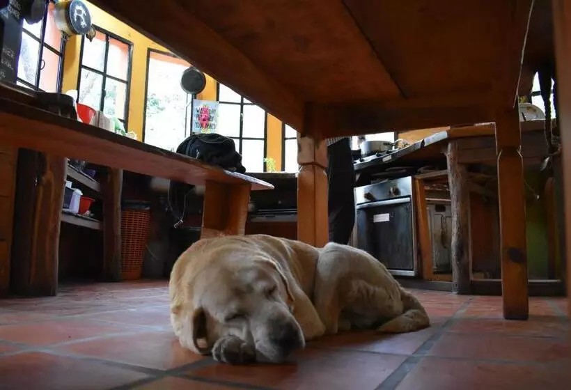 Casa Grande Hostel