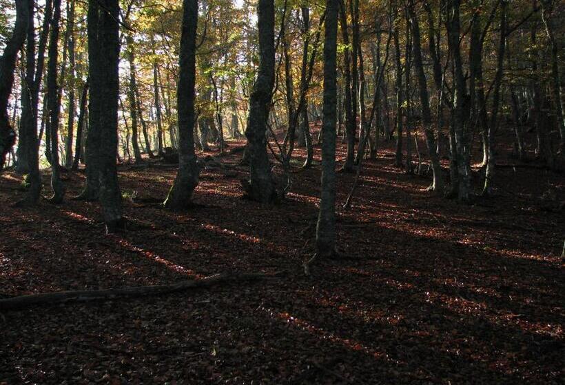 酒店 Rural La Plaza