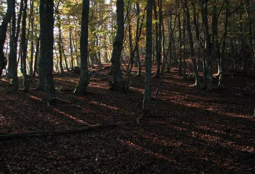 Hotelli Rural La Plaza