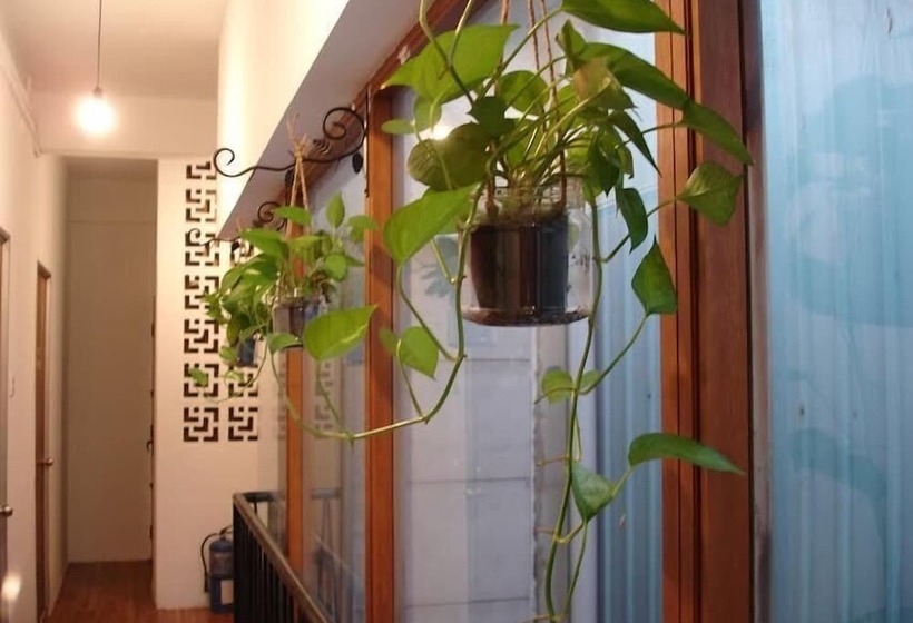 هتل The Bodhi Lodge   Hostel