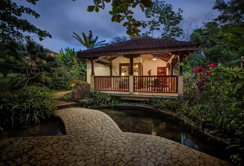 リゾートホテル Sleeping Giant Rainforest Lodge