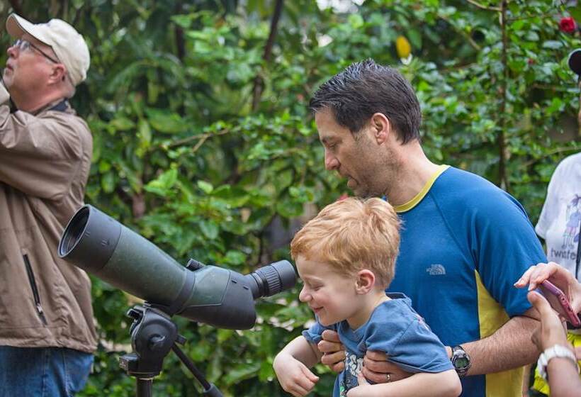 リゾートホテル Sleeping Giant Rainforest Lodge