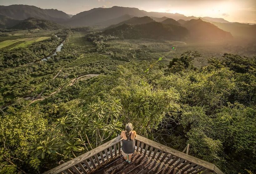 リゾートホテル Sleeping Giant Rainforest Lodge
