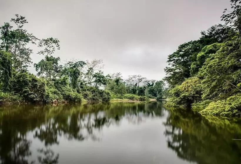 リゾートホテル Sleeping Giant Rainforest Lodge