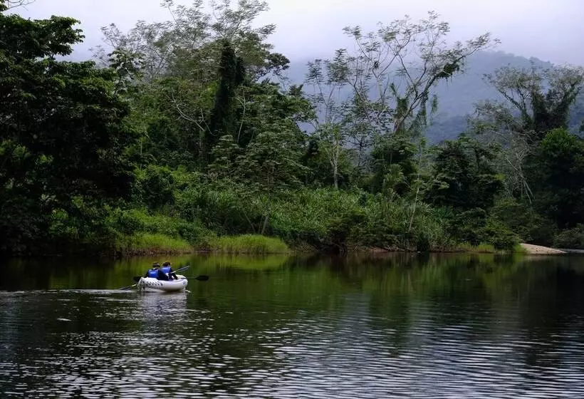 リゾートホテル Sleeping Giant Rainforest Lodge