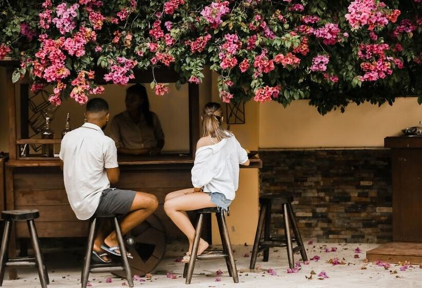 リゾートホテル Sleeping Giant Rainforest Lodge