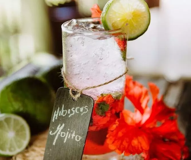 リゾートホテル Sleeping Giant Rainforest Lodge