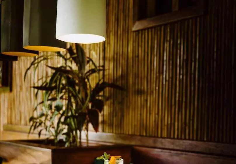 リゾートホテル Sleeping Giant Rainforest Lodge