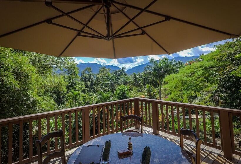 リゾートホテル Sleeping Giant Rainforest Lodge