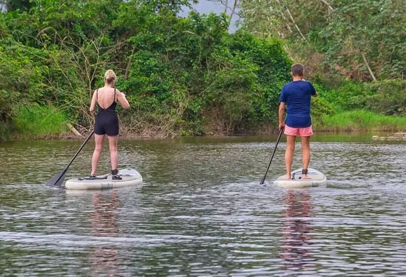 リゾートホテル Sleeping Giant Rainforest Lodge