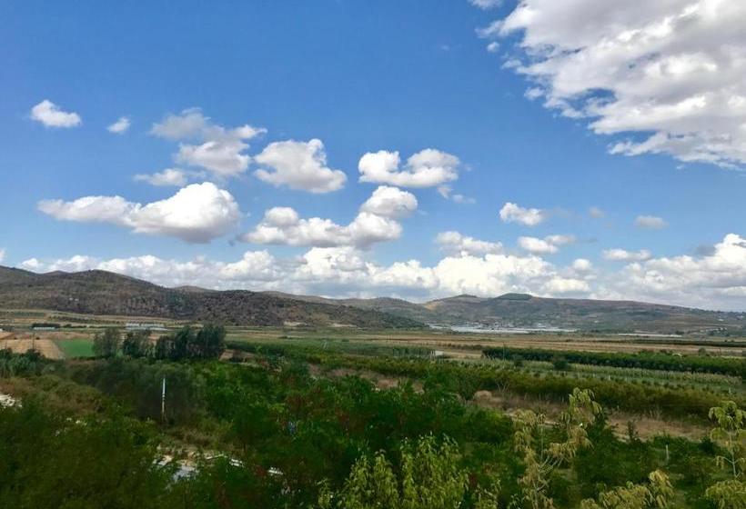 민박 Frogs House Hotel & Restorant Slow Food