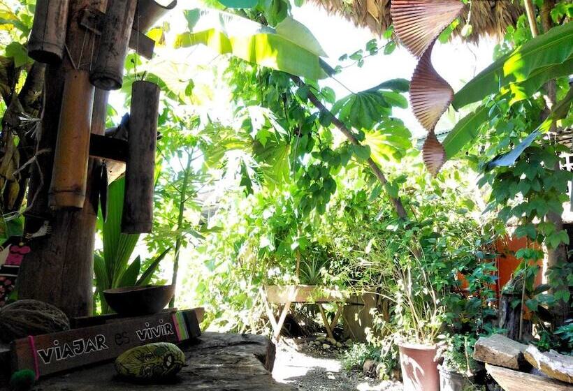 Beta Life Eco Proyecto Hostel